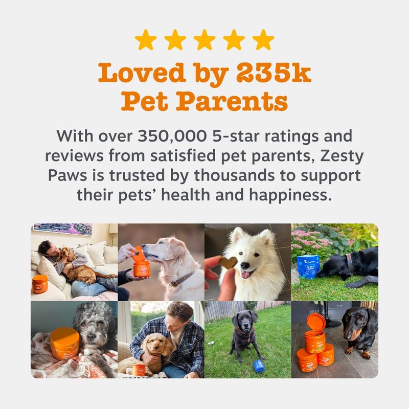 Zesty Paws Urinary & Renal Care Paste Urinary Health 75g