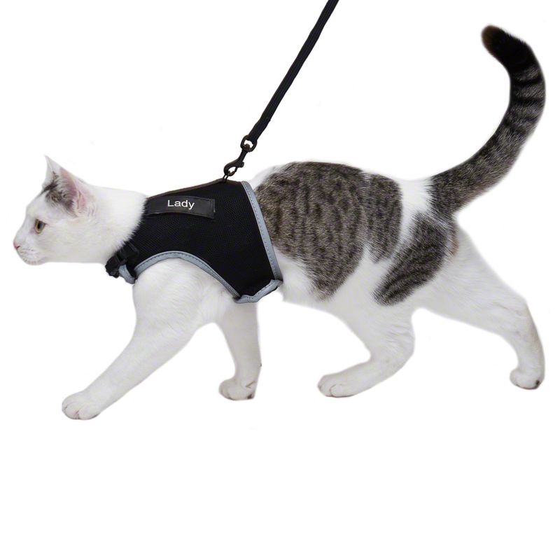 Trixie XCat XL Harness with Lead and Exclusive Stickers Black