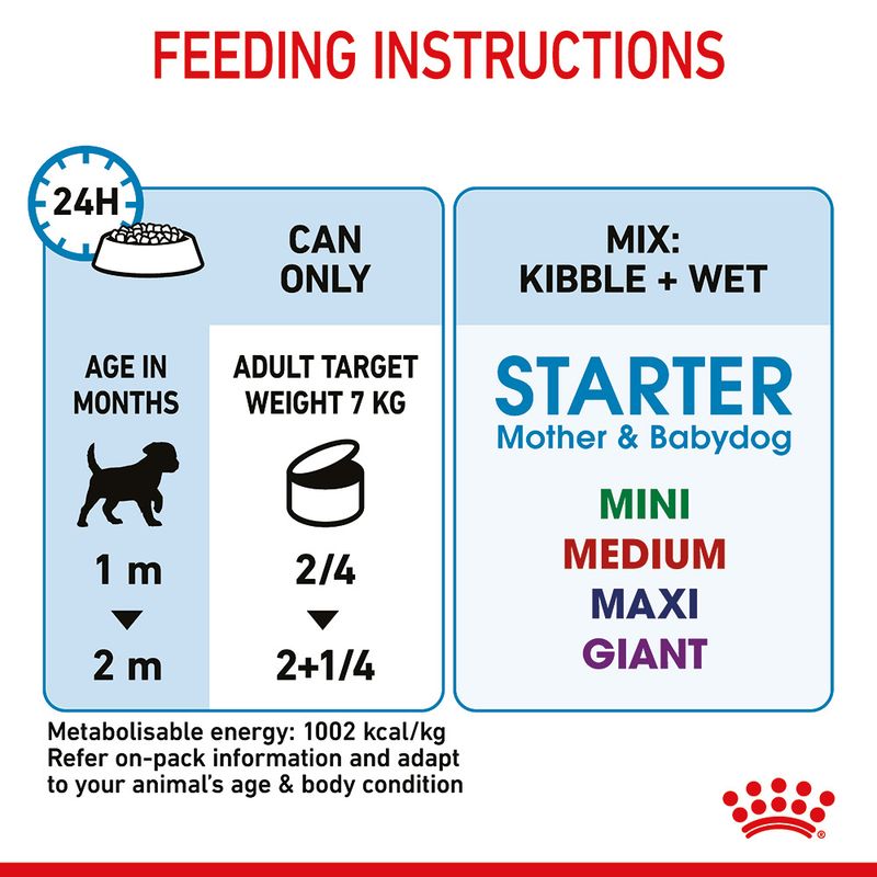 Royal Canin Starter Mousse Mother & Babydog 12 x 195g