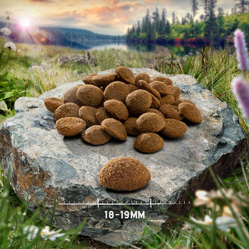 Purizon Grain-Free 80:20:0 Economy Pack 2 x 12kg Adult Chicken with Fish – Grain-free (2 x 12kg)