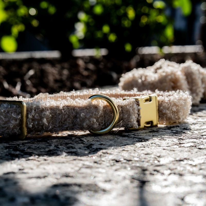 TIAKI Sherpa Collar, Lead & Scrunchie Large Size Collar: 42-66cm (Neck Circumference)