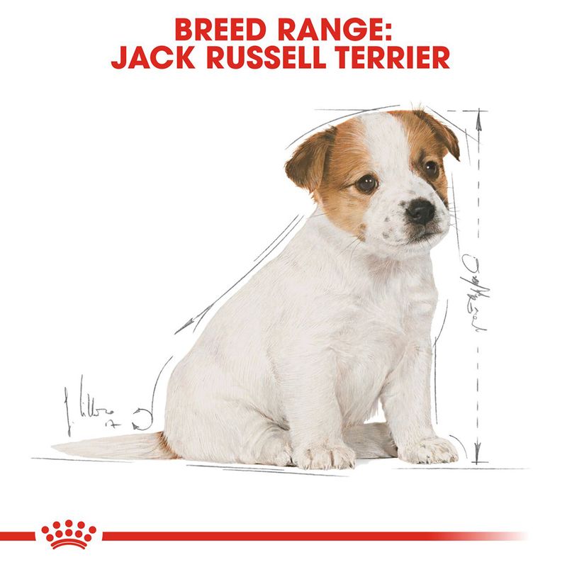 Royal Canin Jack Russell Puppy 3kg