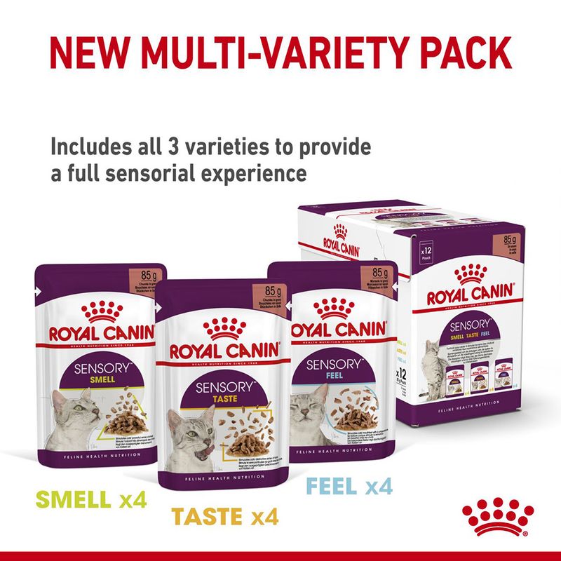 Royal Canin Sensory Taste in Jelly 12 x 85g