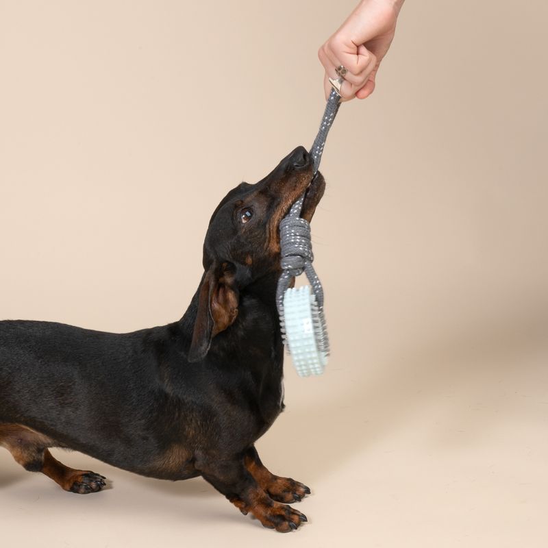 TIAKI Spiky Wheel Chew Toy with Rope approx. 30 x 9 x 4 cm (L x W x H)