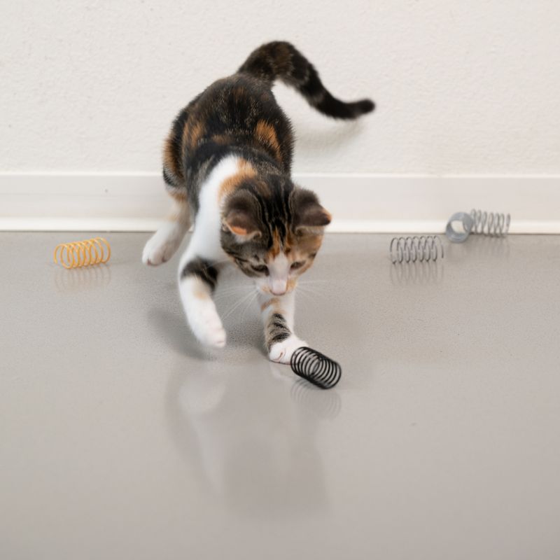 TIAKI Golden Spiral Cat Toy Set 12er Set