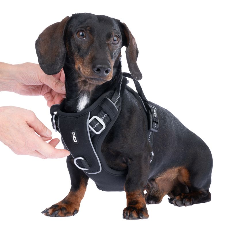 TIAKI Perfect Fit Harness Size S: 48 - 61 cm Chest Circumference