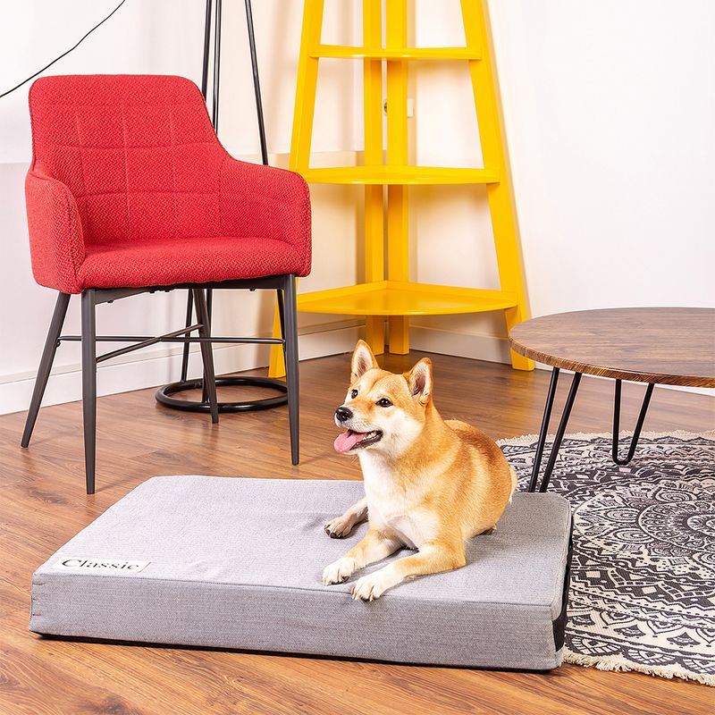 Classic Dog Mattress 80 x 55 x 10 cm (L x W x H)