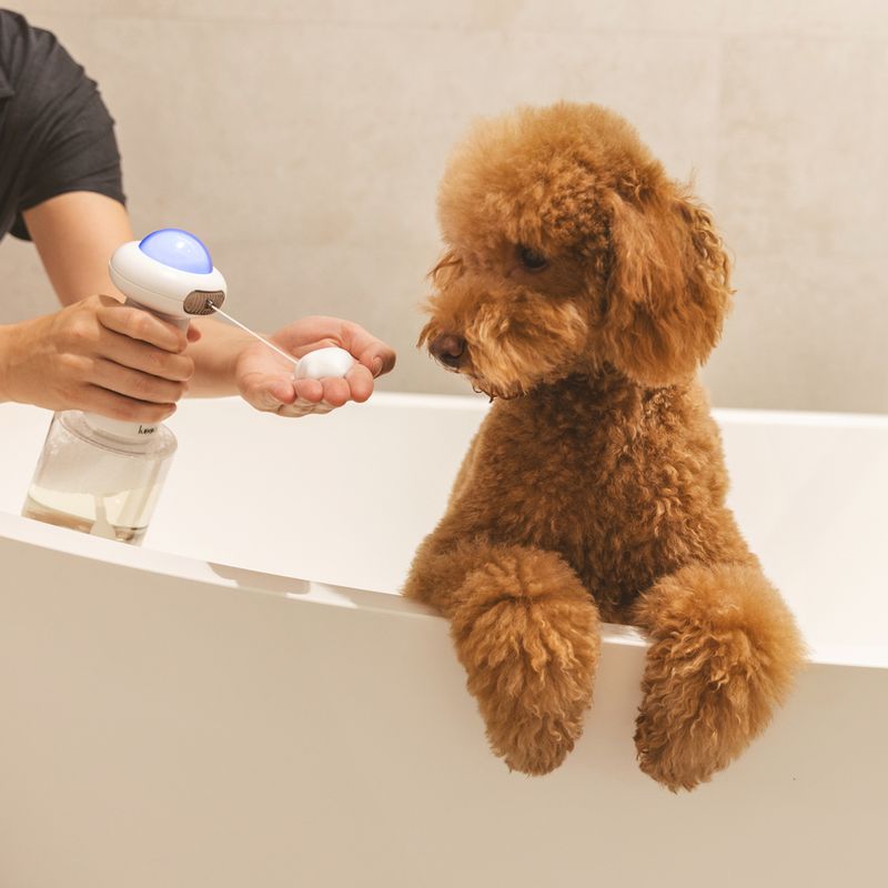 kooa Foam Machine 83 x 22.4cm (diameter x H)