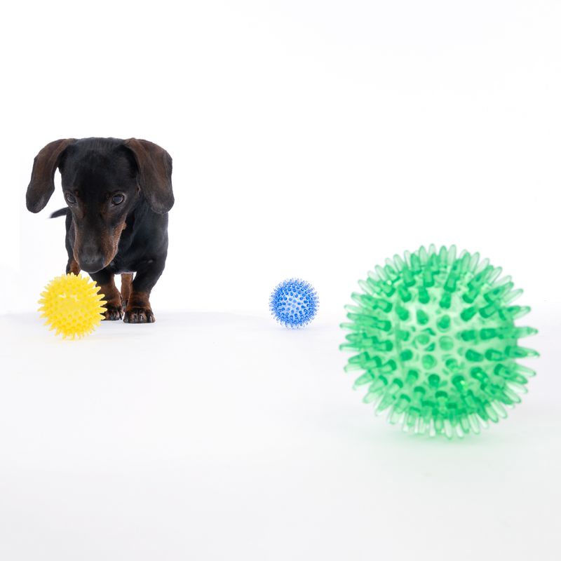 zooplus Basics Spiky Ball Set Set of 3