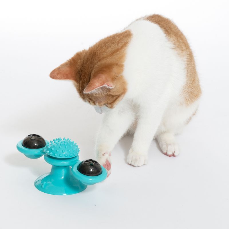 zooplus Basics Windmill with Catnip 1 Toy