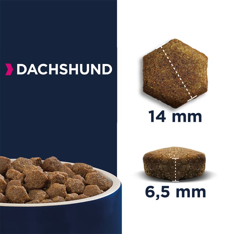 Eukanuba Dachshund Adult 2.5kg