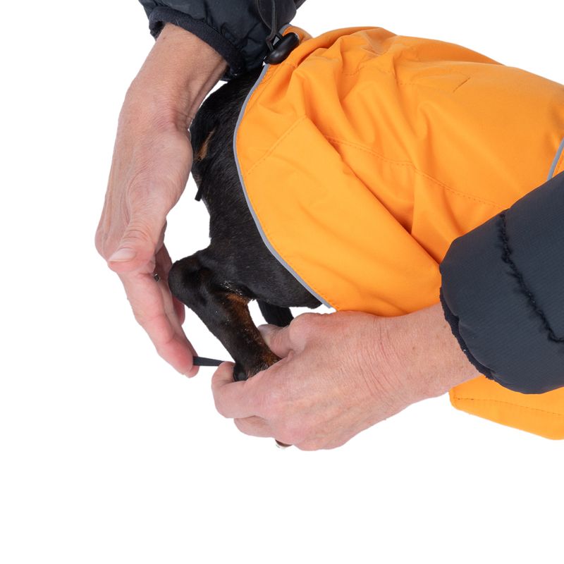 TIAKI Saffron Dog Raincoat Back length: 35cm