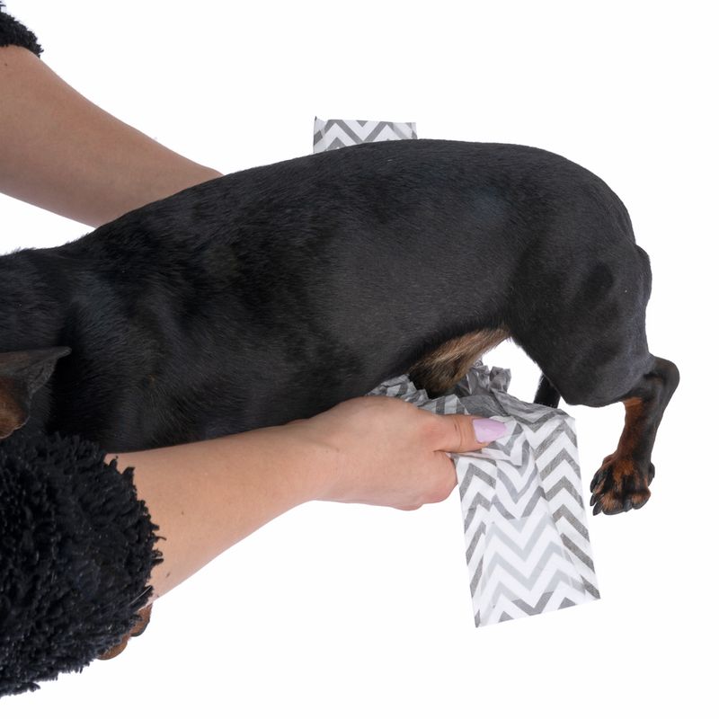 kooa Male Nappies with Charcoal Extra Small (15 Nappies)