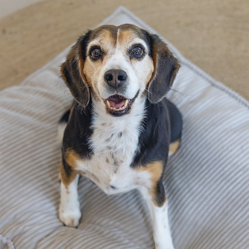 Designed by Lotte Ribbed Lounger Cushion - Light Grey approx. 70 x 55 x 15cm (L x W x H)