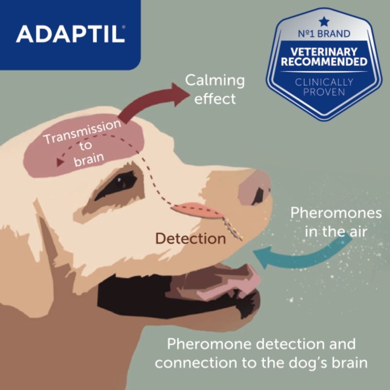 ADAPTIL® Transport Spray 20ml