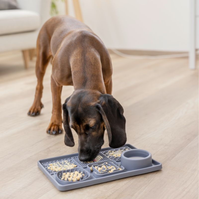 Kerbl Pet Licking Mat Size XL: 30 x 20 x 4cm (L x W x H)