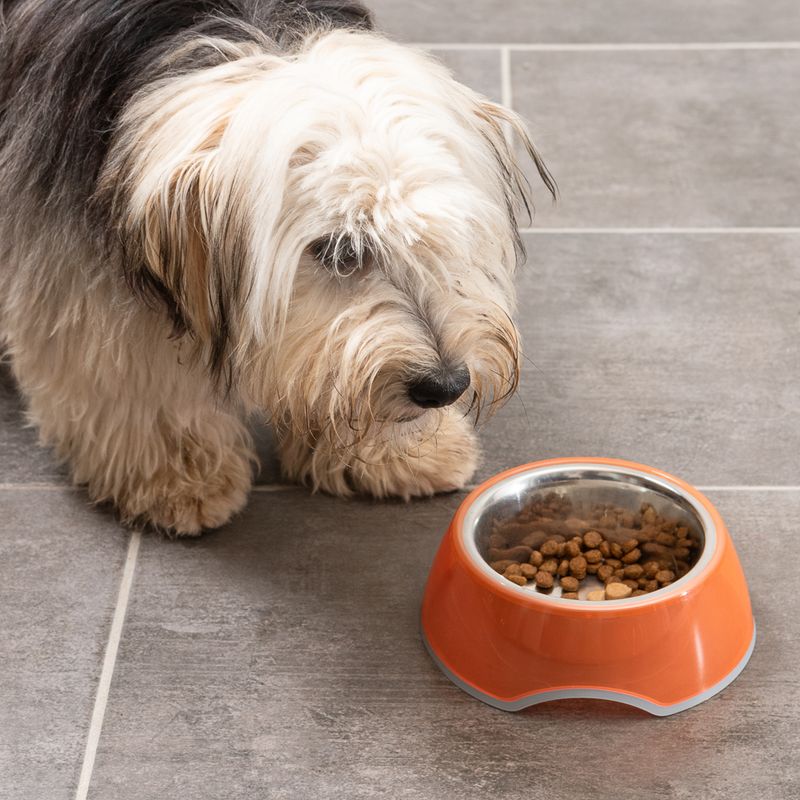 TIAKI Anti-Slip Bowl - Transparent Orange 400ml (16cm diameter)