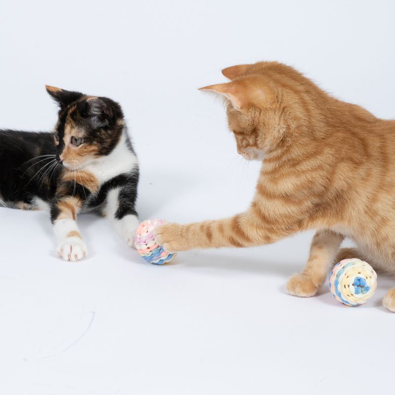 TIAKI Rainbow Rattle Ball Set Set of 2