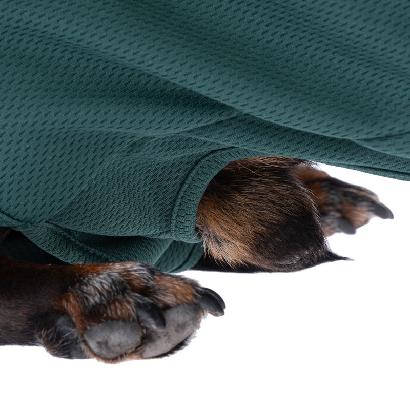 kooa OP-Bodysuit for Male Dogs Size S: approx. 35cm back length