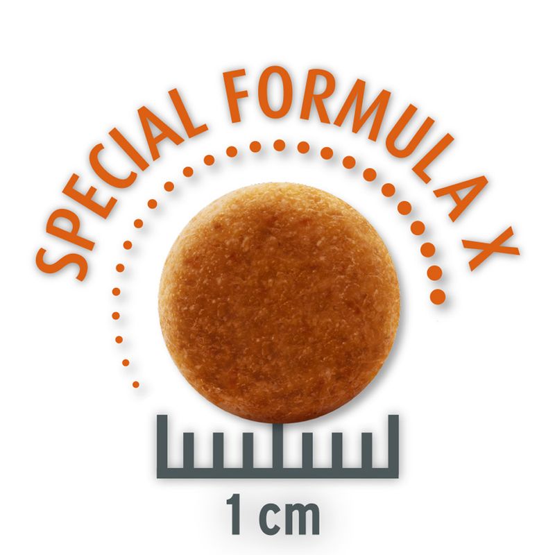 Concept for Life Economy Packs Sterilised Cats - Salmon (2 x 10 kg)