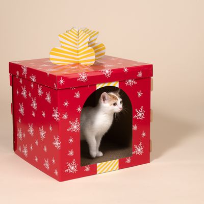 TIAKI Red Gift Box Scratching Furniture 37.5 x 37.5 x 50 cm (L x W x H)