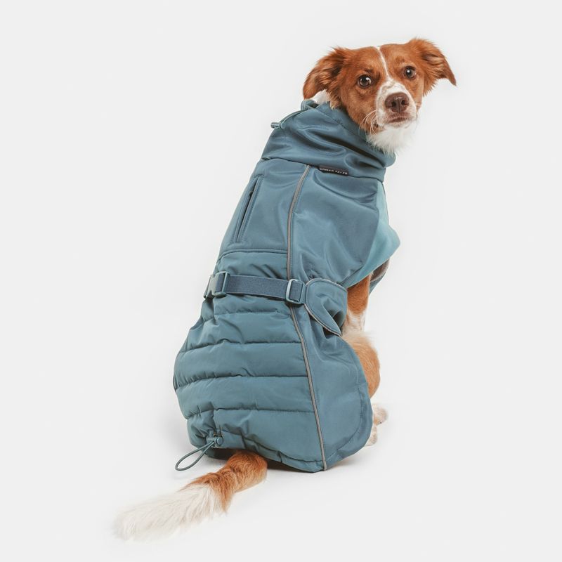Nomad Tales Spirit Softshell Dog Coat - Pacific approx. 35cm Back Length