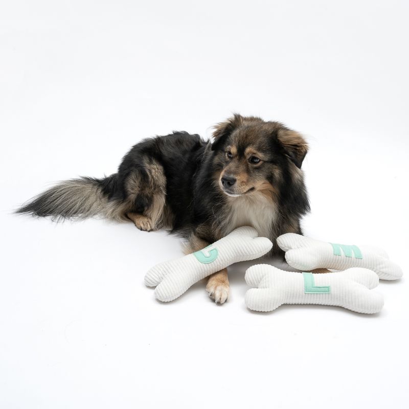 TIAKI Plush Bone with L Initial 26 x 12 x 5.5cm (L x W x H)