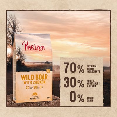Purizon Adult Grain-Free Wild Boar with Chicken 6.5kg