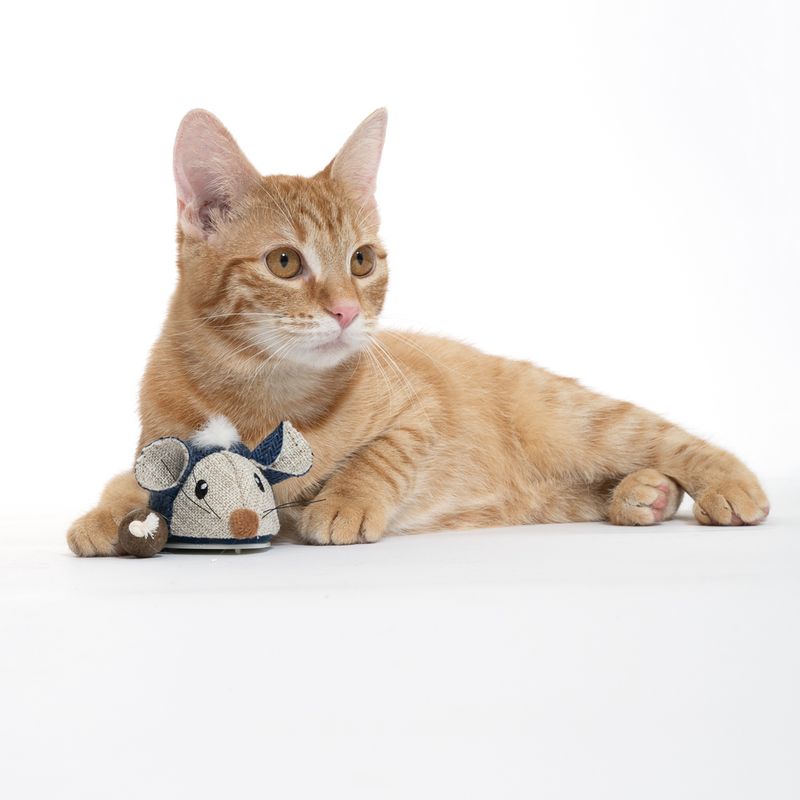 TIAKI Electronic Play Mouse for Cats 1 Toy