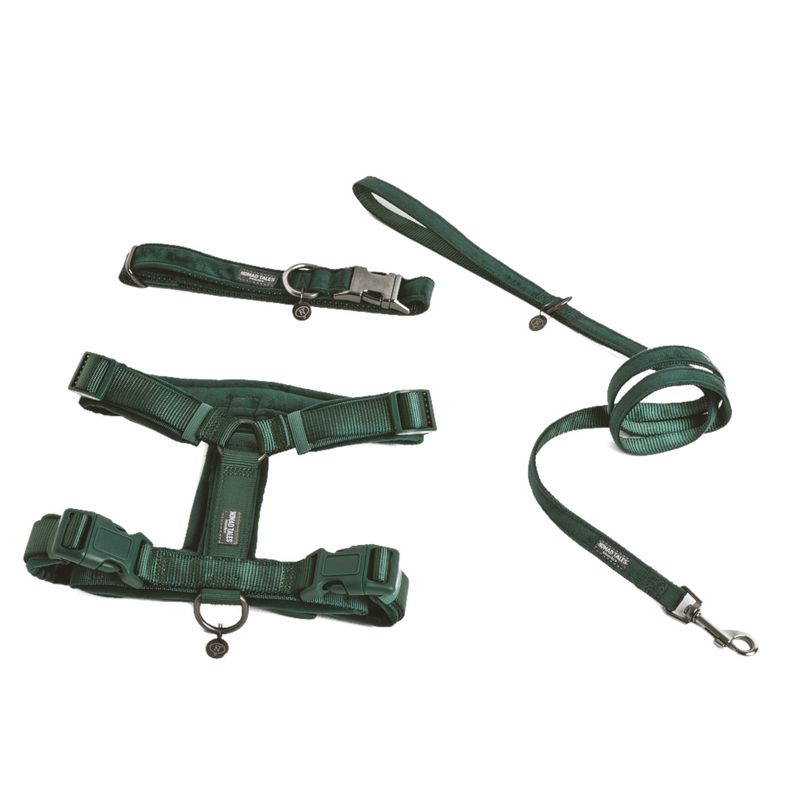 Nomad Tales Blush Harness - Emerald Size XS: 34 - 49 cm chest circumference, W 15 mm