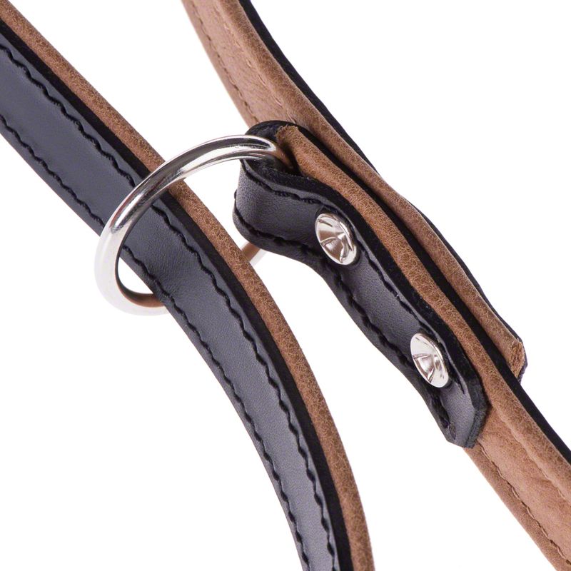 Heim Leather Dog Lead - Stars 200cm
