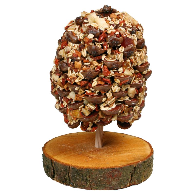 JR Farm Fruit Tree 1 tree