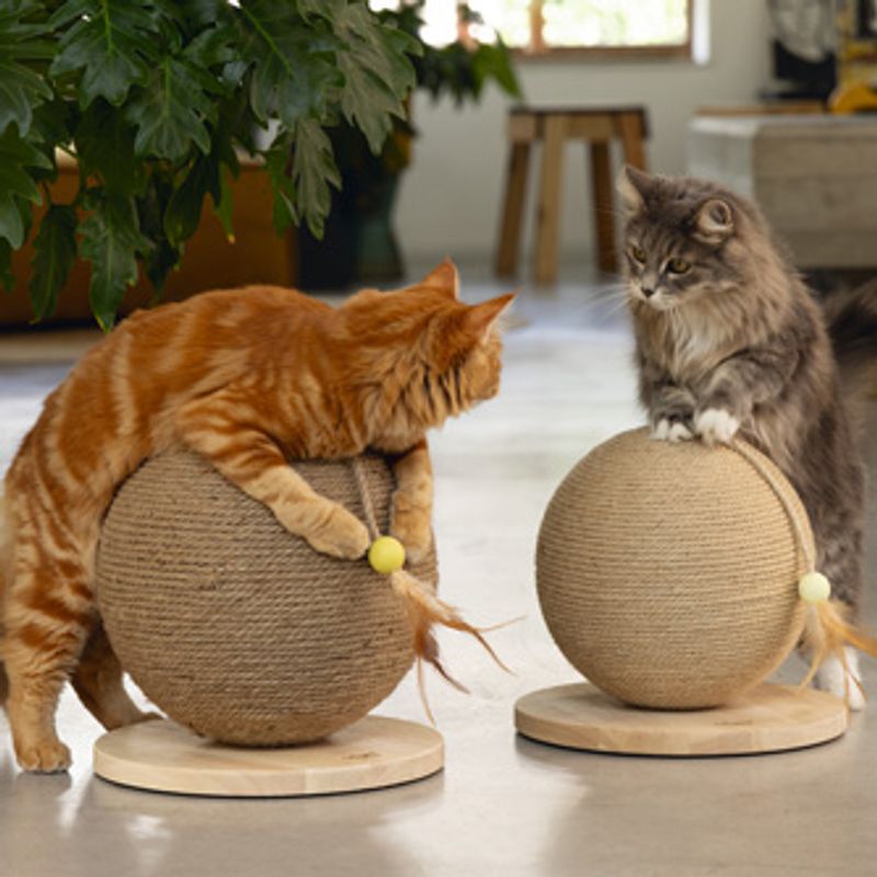 Designed by Lotte Balty XL Wooden Scratching Ball 30 x 31.5cm (diameter x H)