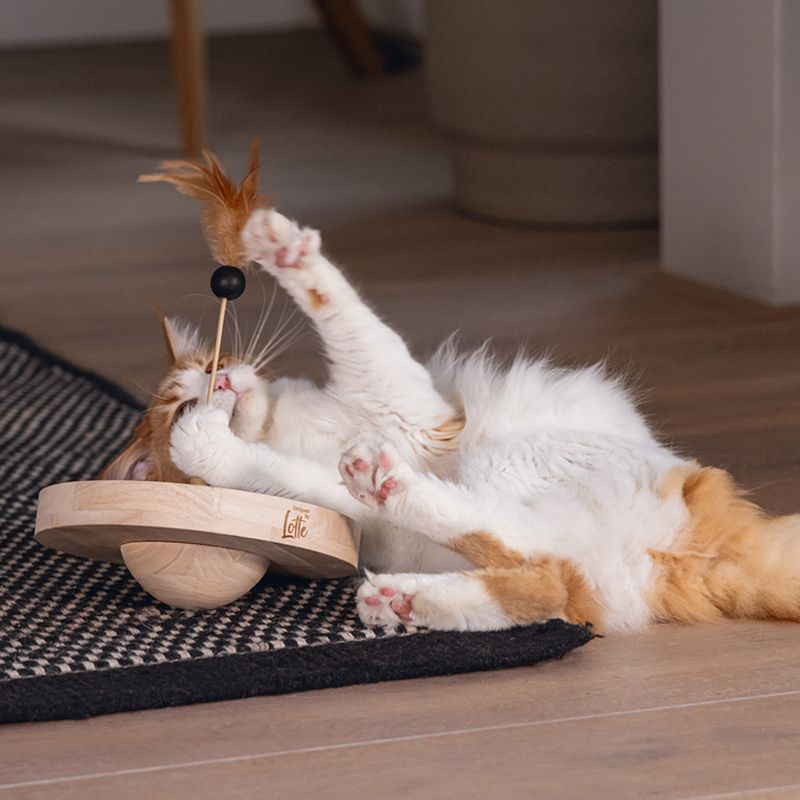 Designed by Lotte Winni Wooden Cat Toy 22 x 30cm (diameter x H)