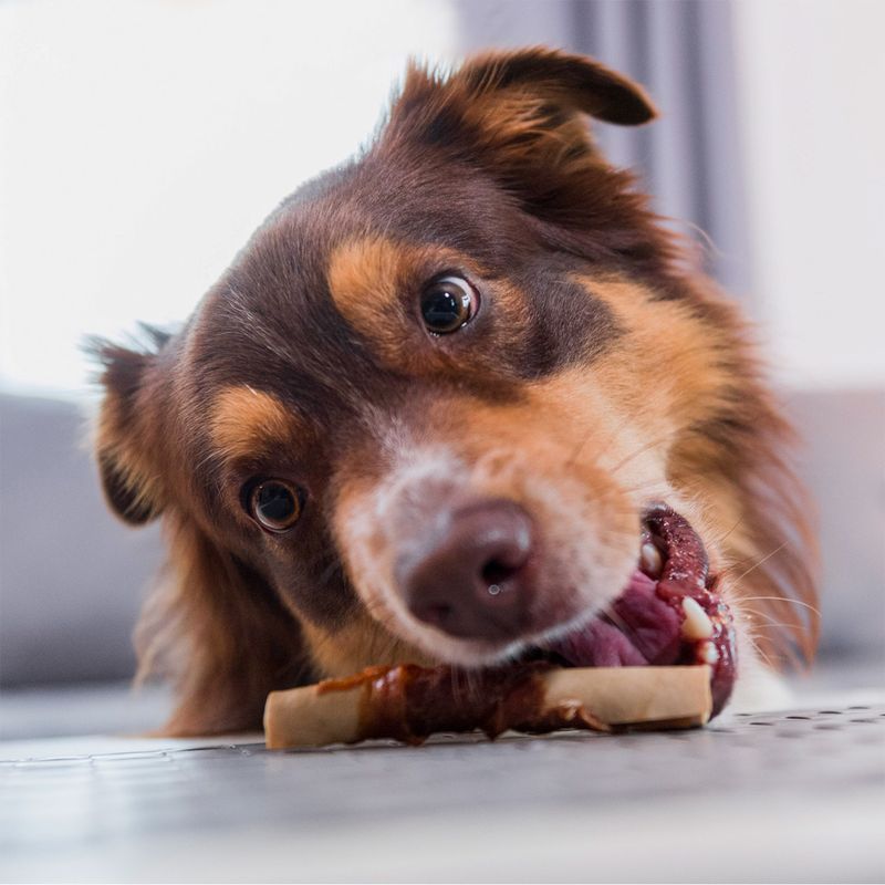 SmartBones Wrapped Sticks Chicken 5 Sticks