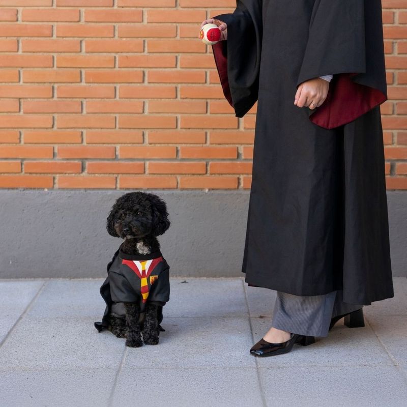 Harry Potter Dog Costume Size S/M: Back Length 35cm