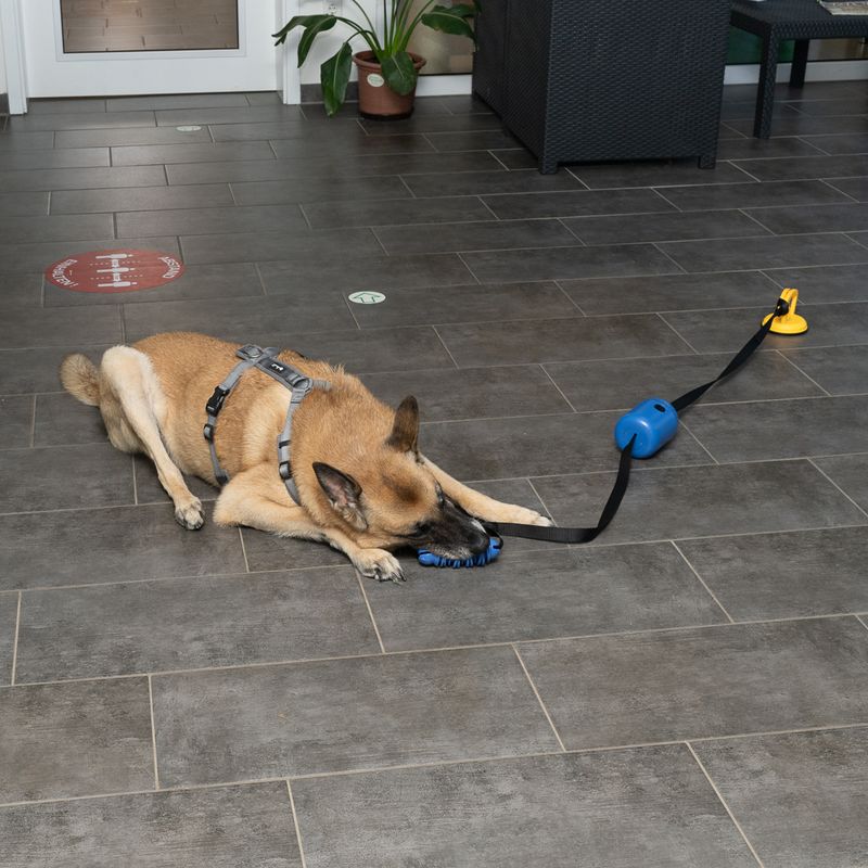 Nomad Tales Spirit Tug-of-War Game with Snack Dispenser 1 Toy