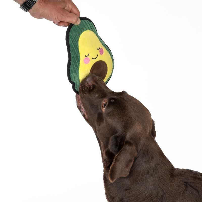 TIAKI Happy Avocado Tough Dog Toy 24 x 18 x 6.5cm (L x W x H)