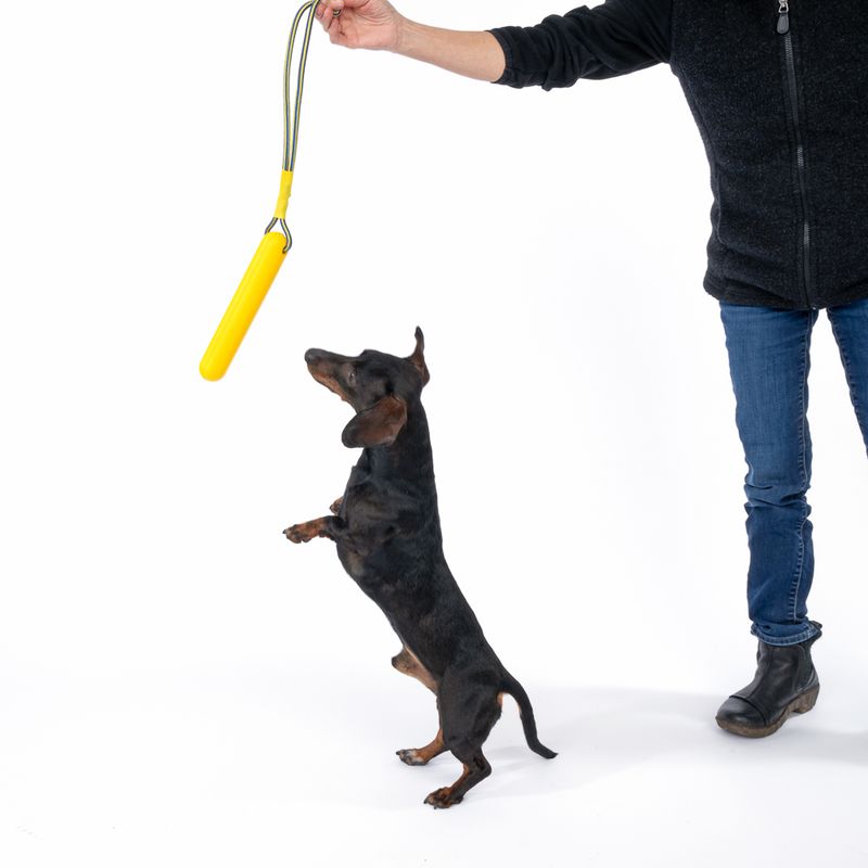 Nomad Tales Bloom EVA Stick with Rope 1 Toy