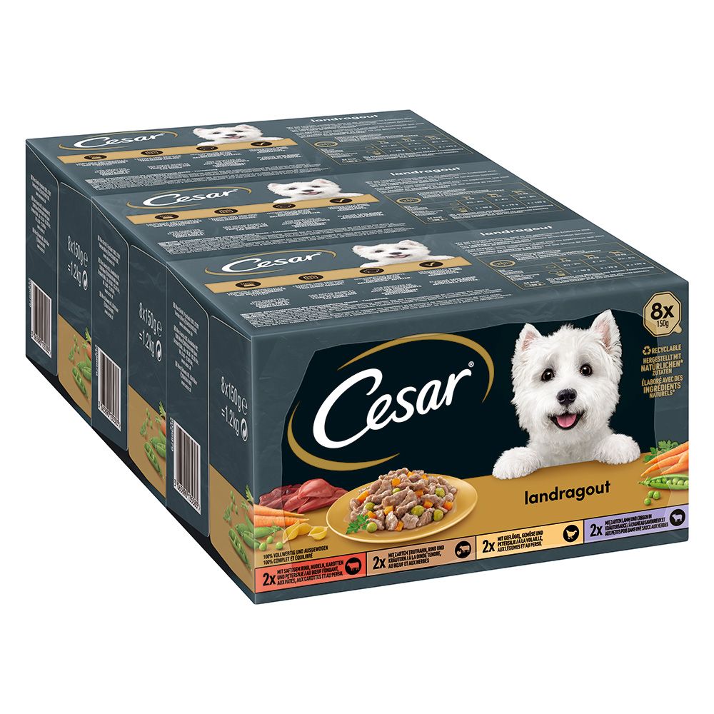 Cesar Country Stew Mixed Pack 8 x 150g