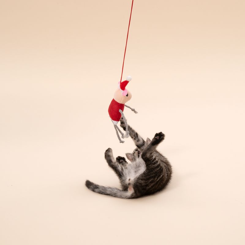 TIAKI Mouse Couple Door Hanger Set Set of 2