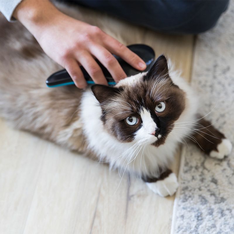 Trixie Soft Brush approx. 19cm (L)