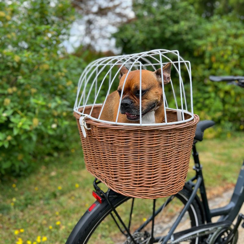 Aumüller Dog Bike Basket Size S: 48 x 34 x 44cm (L x W x H)