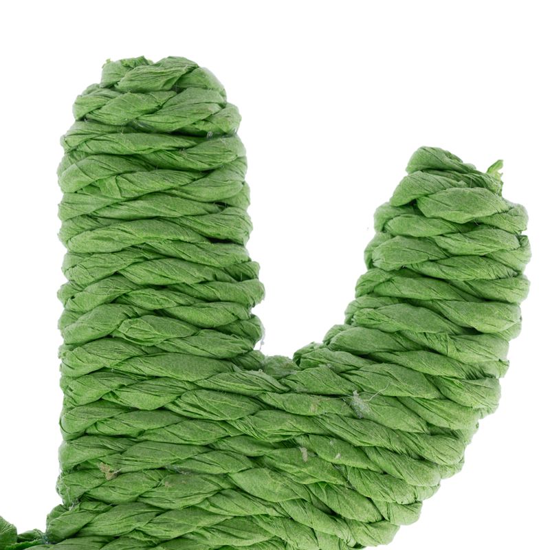 TIAKI Nature Paper Cactus 1 Toy