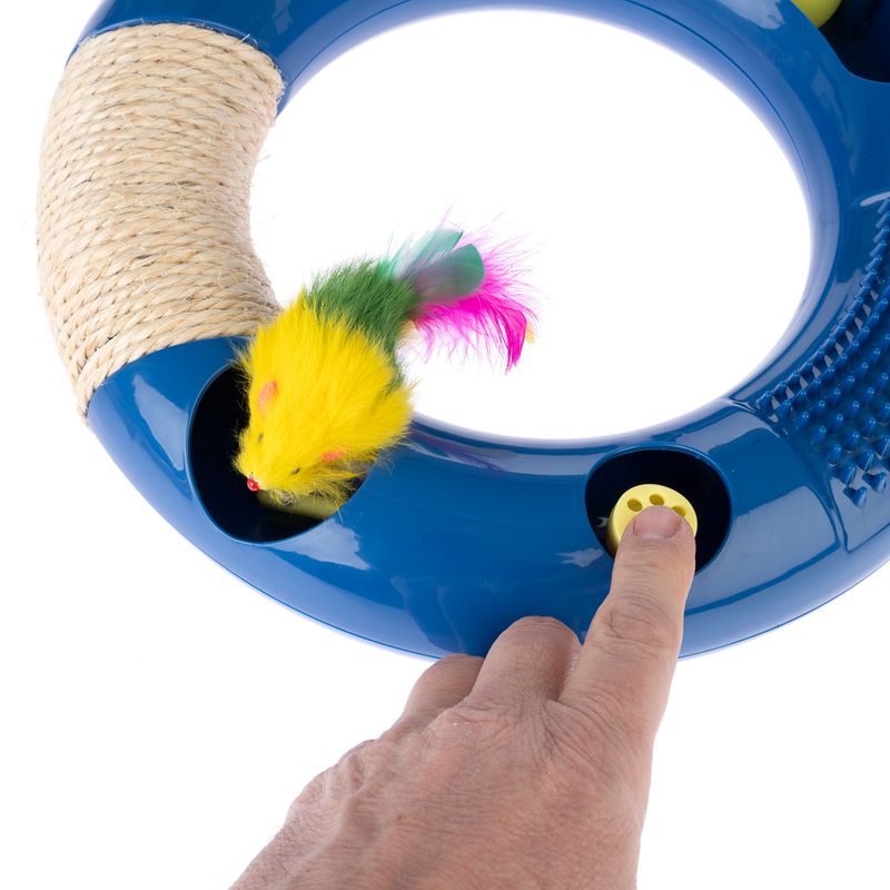 TIAKI Interactive Circuit Cat Toy 1 Toy