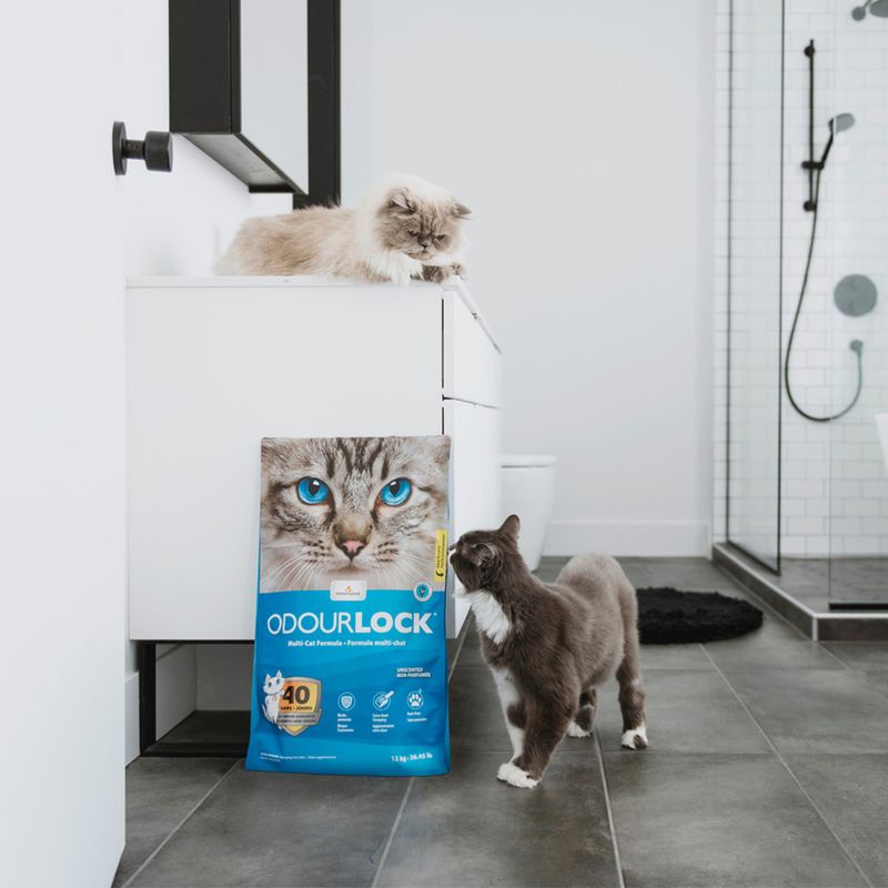 ODOURLOCK Unscented Cat Litter 12kg