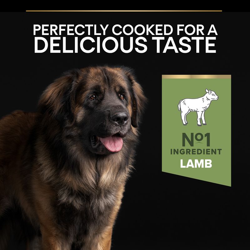 PURINA PRO PLAN Adult Large Adult Robust Lamb & Rice Sensitive Digestion 14kg