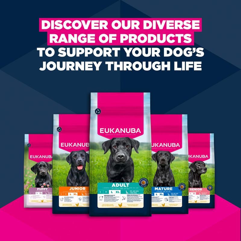 Eukanuba Premium Nutrition Senior Large & Giant Breed Chicken 15kg