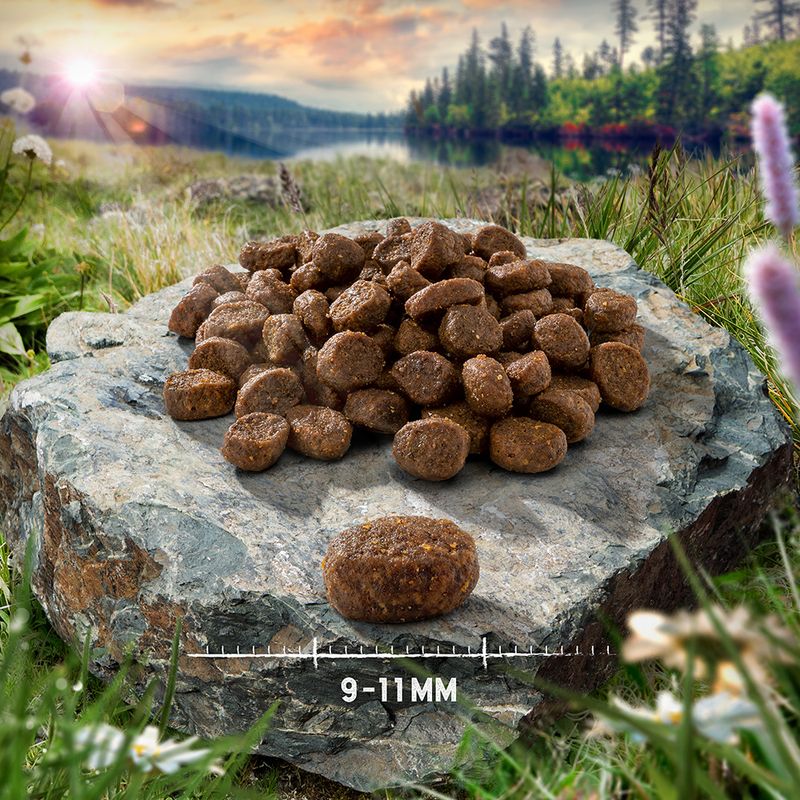 Purizon Adult Grain-Free Venison with Fish 400g