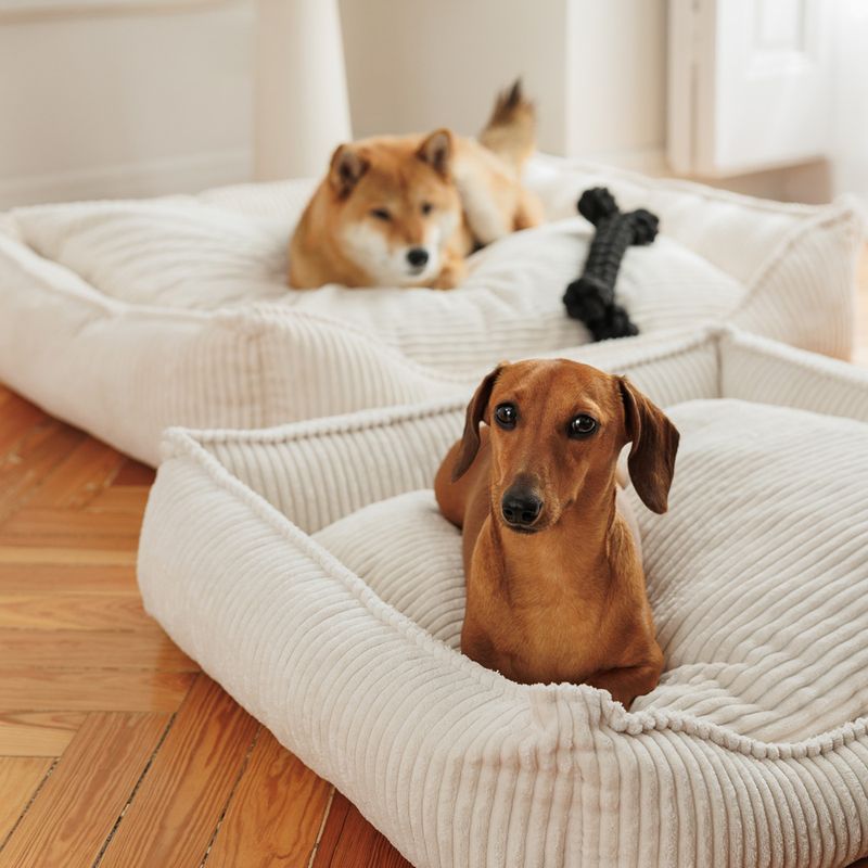 Modern Living Papua Rope Bone 30cm (L)